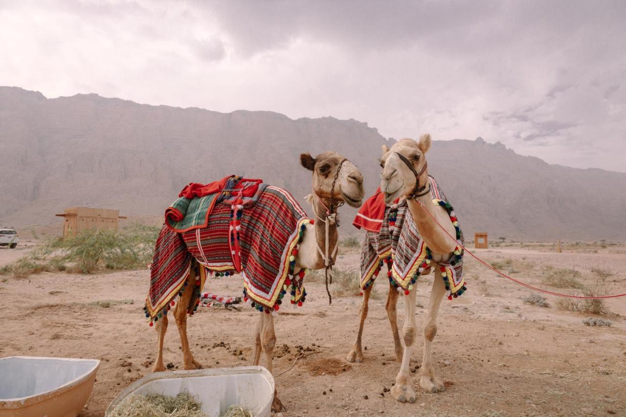 Pura Eco Retreat, Jebel Hafit Desert Park Al-Ain Eksteriør billede